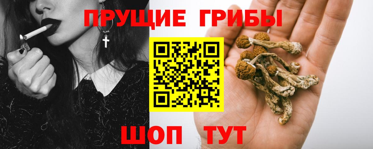 где купить наркотик  Галлюциногенные грибы мицелий  Вход с VPN  Мыски 